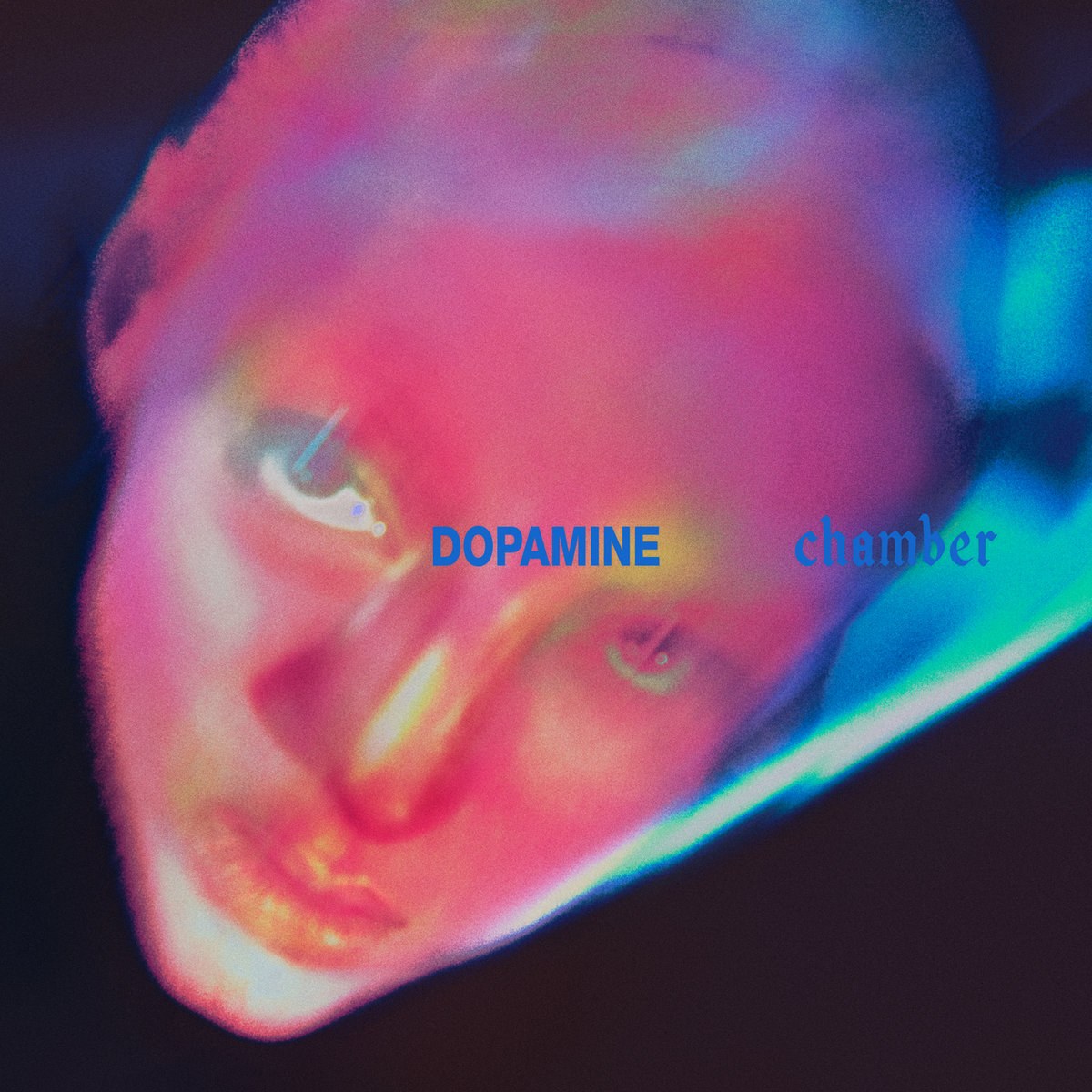 Fontaines D.C. - „Dopamine Chamber” (16.10)